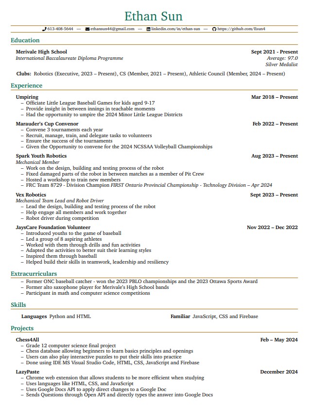 Programming Resume Preview